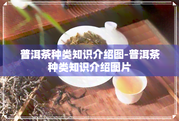 普洱茶种类知识介绍图-普洱茶种类知识介绍图片