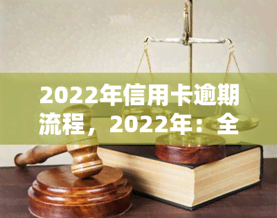 2022年信用卡逾期流程，2022年：全面了解信用卡逾期处理流程