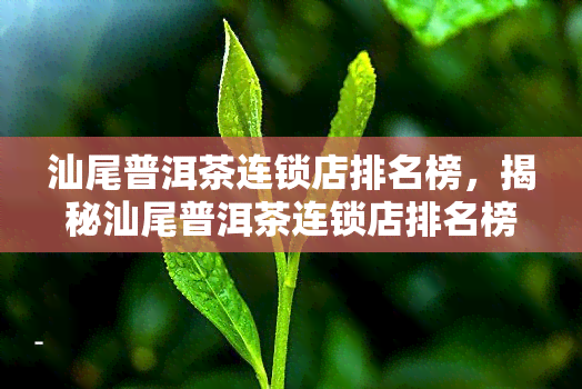 汕尾普洱茶连锁店排名榜，揭秘汕尾普洱茶连锁店排名榜，一探究竟！