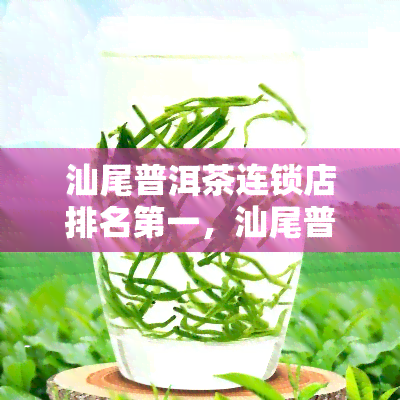 汕尾普洱茶连锁店排名之一，汕尾普洱茶连锁店：榜首之位的得主！