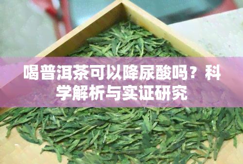 喝普洱茶可以降尿酸吗？科学解析与实证研究