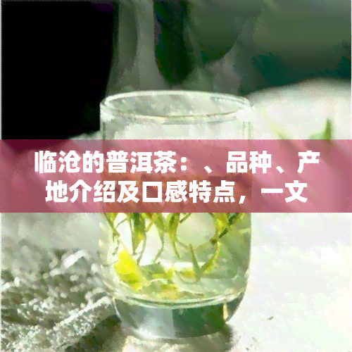 临沧的普洱茶：、品种、产地介绍及口感特点，一文尽览！