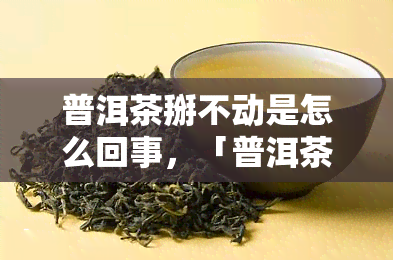 普洱茶掰不动是怎么回事，「普洱茶掰不动」的原因解析：可能与保存方式、年份等因素有关