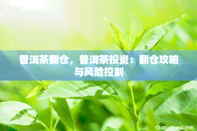 普洱茶翻仓，普洱茶投资：翻仓攻略与风险控制