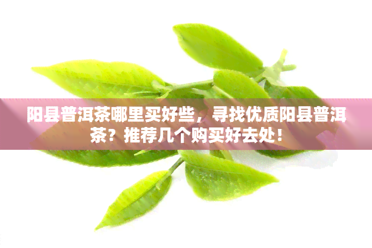 阳县普洱茶哪里买好些，寻找优质阳县普洱茶？推荐几个购买好去处！