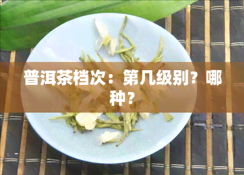 普洱茶档次：第几级别？哪种？