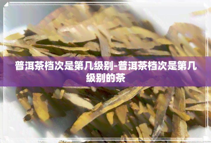 普洱茶档次是第几级别-普洱茶档次是第几级别的茶