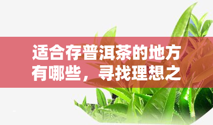 适合存普洱茶的地方有哪些，寻找理想之选：哪些地方最适合存普洱茶？