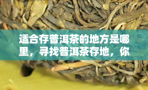 适合存普洱茶的地方是哪里，寻找普洱茶存地，你需要注意这些关键因素！