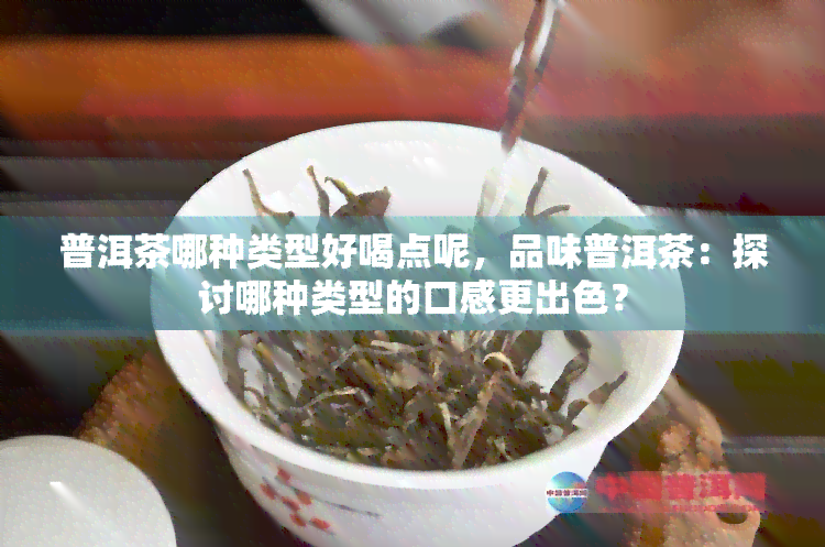 普洱茶哪种类型好喝点呢，品味普洱茶：探讨哪种类型的口感更出色？