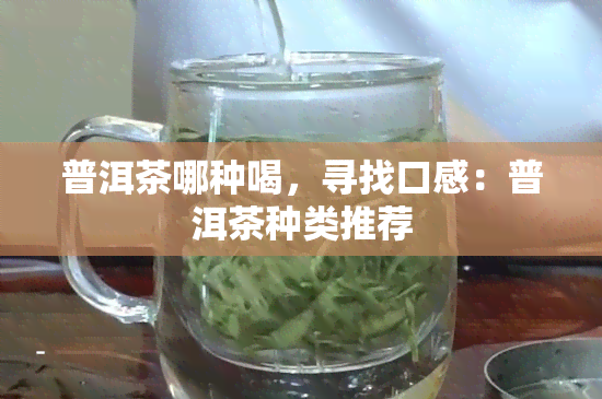 普洱茶哪种喝，寻找口感：普洱茶种类推荐