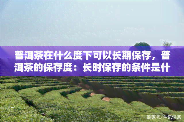 普洱茶在什么度下可以长期保存，普洱茶的保存度：长时保存的条件是什么？