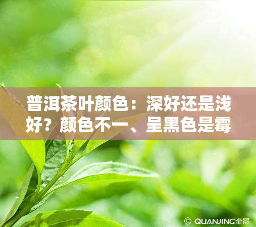 普洱茶叶颜色：深好还是浅好？颜色不一、呈黑色是霉吗？种类及特点解析