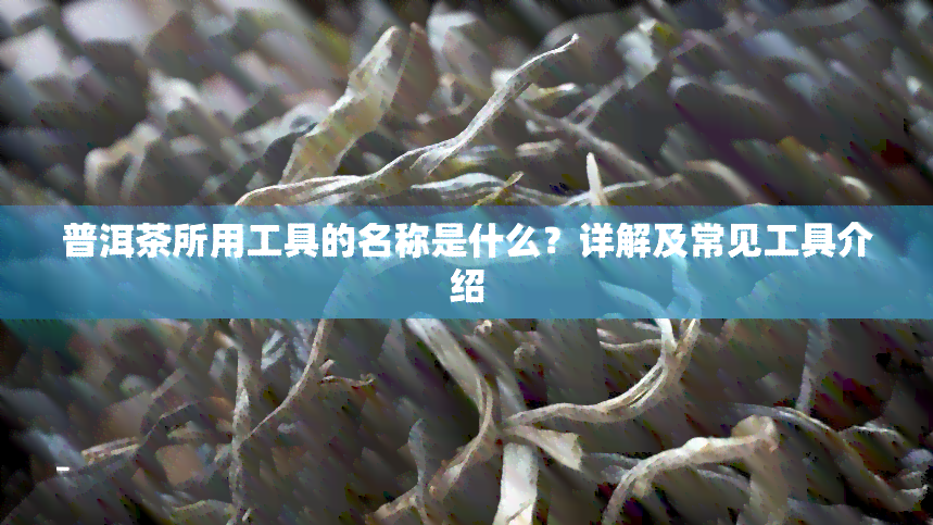 普洱茶所用工具的名称是什么？详解及常见工具介绍