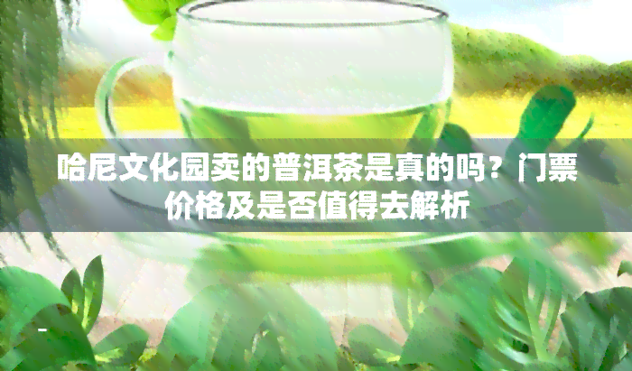 哈尼文化园卖的普洱茶是真的吗？门票价格及是否值得去解析