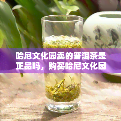 哈尼文化园卖的普洱茶是正品吗，购买哈尼文化园的普洱茶，是否能确保正品呢？