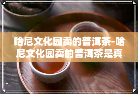 哈尼文化园卖的普洱茶-哈尼文化园卖的普洱茶是真的吗