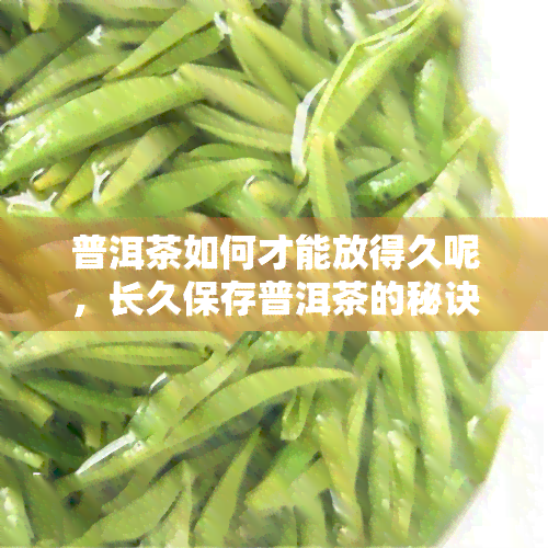 普洱茶如何才能放得久呢，长久保存普洱茶的秘诀：你必须知道的方法！