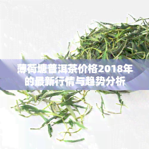 薄荷塘普洱茶价格2018年的最新行情与趋势分析