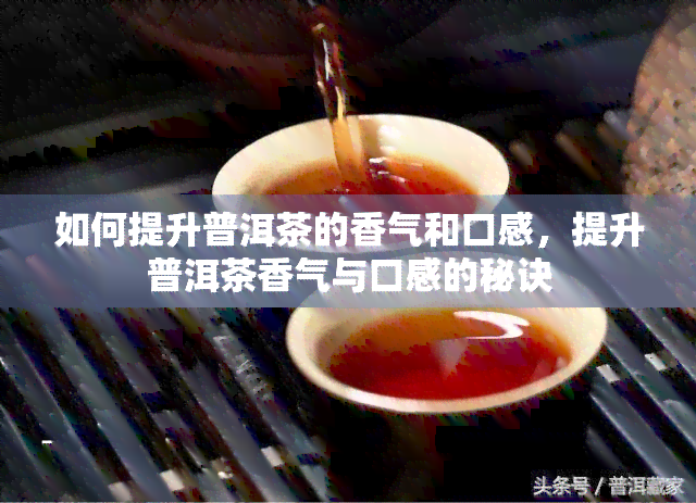 如何提升普洱茶的香气和口感，提升普洱茶香气与口感的秘诀