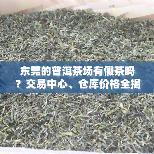 东莞的普洱茶场有假茶吗？交易中心、仓库价格全揭秘