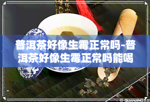 普洱茶好像生霉正常吗-普洱茶好像生霉正常吗能喝吗