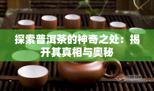 探索普洱茶的神奇之处：揭开其真相与奥秘