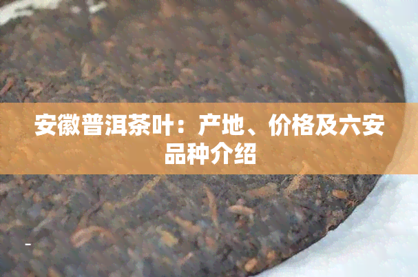 安徽普洱茶叶：产地、价格及六安品种介绍