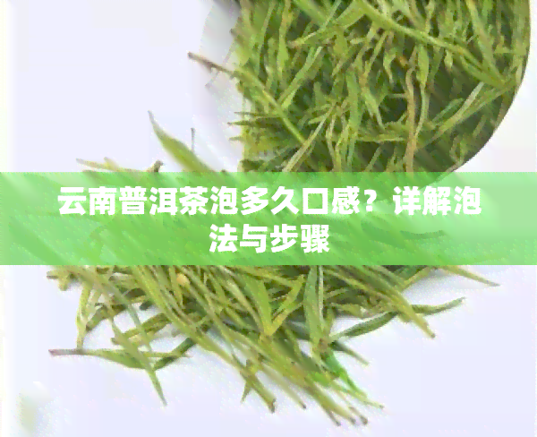 云南普洱茶泡多久口感？详解泡法与步骤