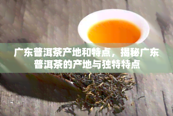 广东普洱茶产地和特点，揭秘广东普洱茶的产地与独特特点