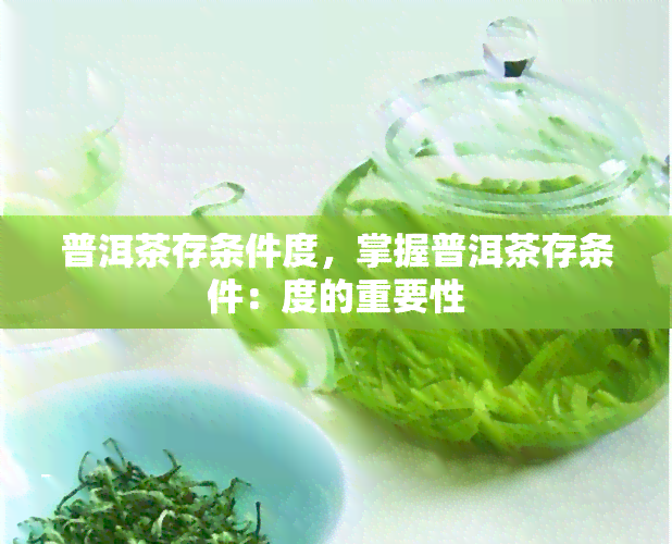 普洱茶存条件度，掌握普洱茶存条件：度的重要性