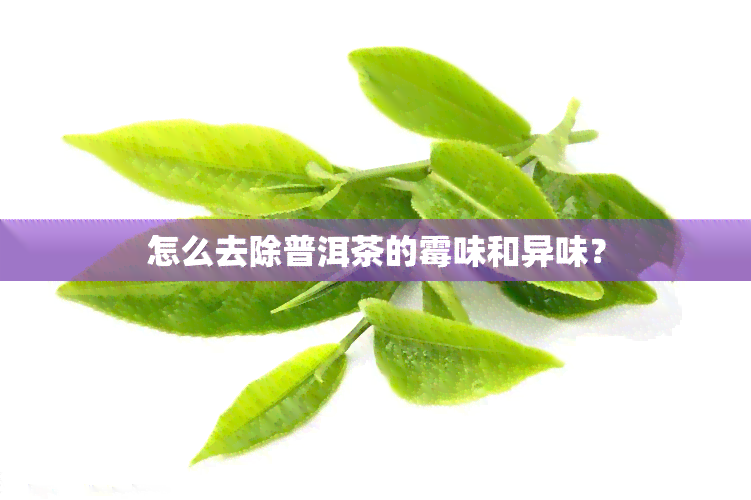 怎么去除普洱茶的霉味和异味？