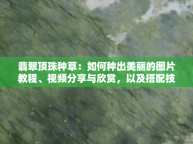 翡翠顶珠种草：如何种出美丽的图片教程、视频分享与欣赏，以及搭配技巧、含义解析与镶嵌示例