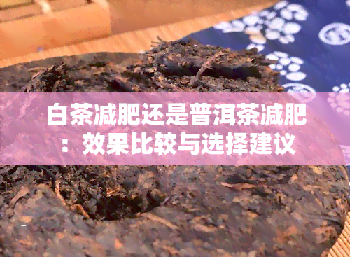 白茶减肥还是普洱茶减肥：效果比较与选择建议