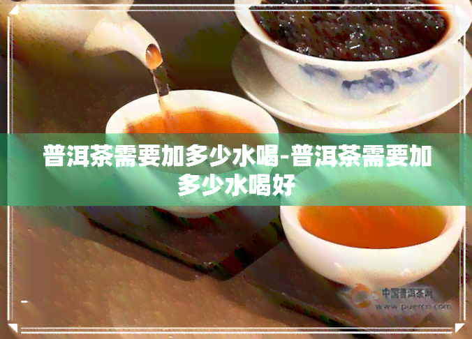 普洱茶需要加多少水喝-普洱茶需要加多少水喝好