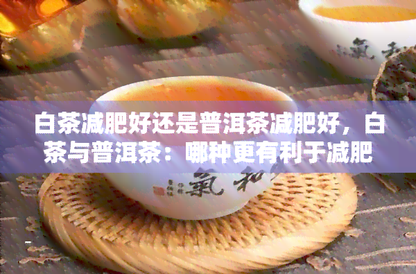 白茶减肥好还是普洱茶减肥好，白茶与普洱茶：哪种更有利于减肥？