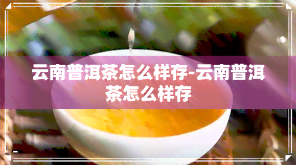 云南普洱茶怎么样存-云南普洱茶怎么样存