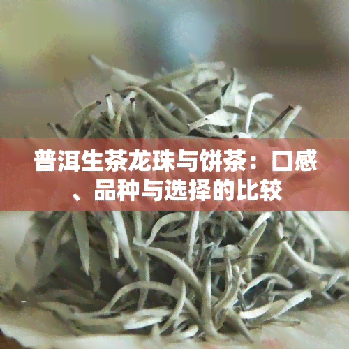 普洱生茶龙珠与饼茶：口感、品种与选择的比较