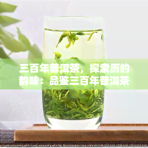 三百年普洱茶，探索历的韵味：品鉴三百年普洱茶的独特魅力