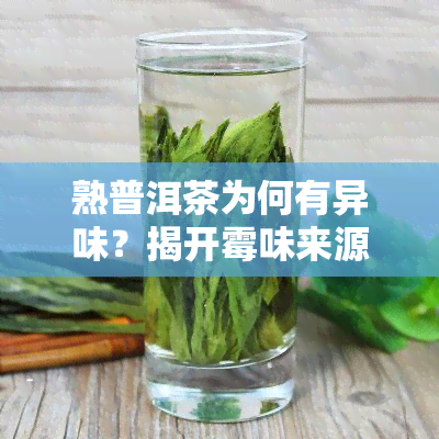 熟普洱茶为何有异味？揭开霉味来源的谜团