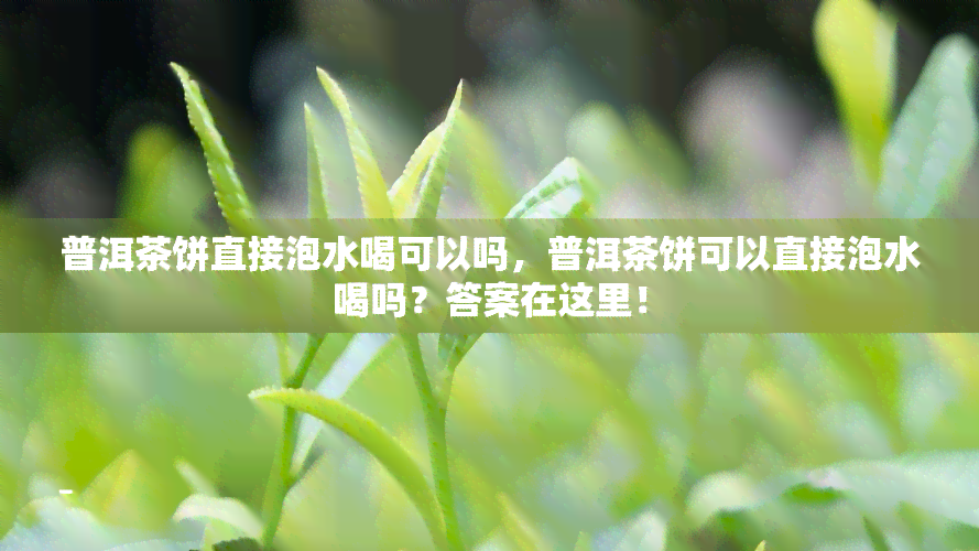 普洱茶饼直接泡水喝可以吗，普洱茶饼可以直接泡水喝吗？答案在这里！