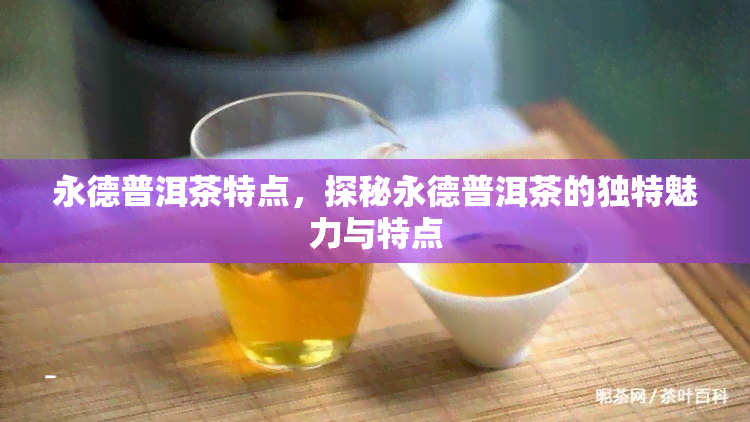 永德普洱茶特点，探秘永德普洱茶的独特魅力与特点