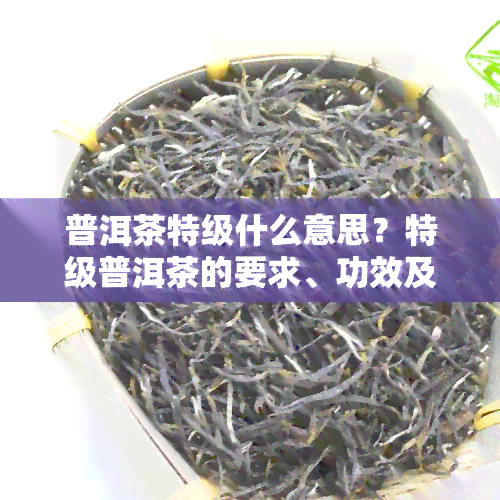 普洱茶特级什么意思？特级普洱茶的要求、功效及价格比较，以及与一级的区别，包括特级普洱熟茶相关内容。