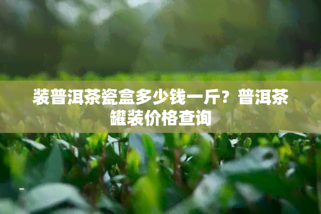 装普洱茶瓷盒多少钱一斤？普洱茶罐装价格查询