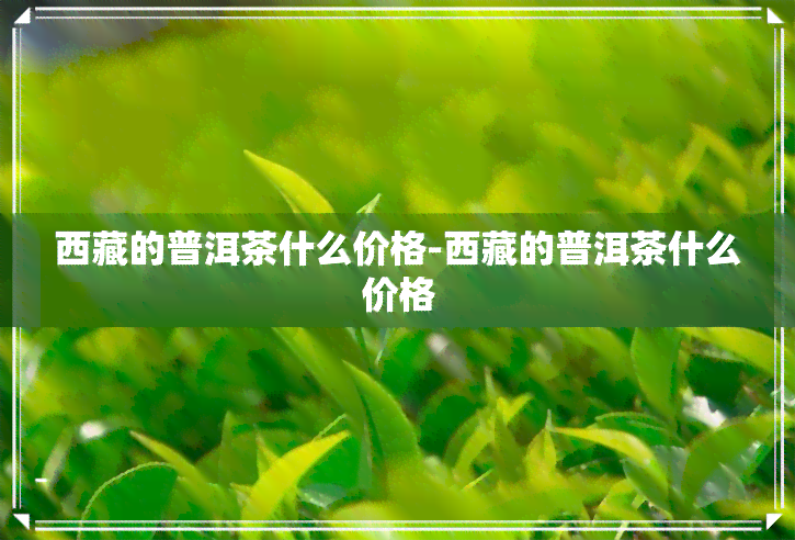  *** 的普洱茶什么价格- *** 的普洱茶什么价格