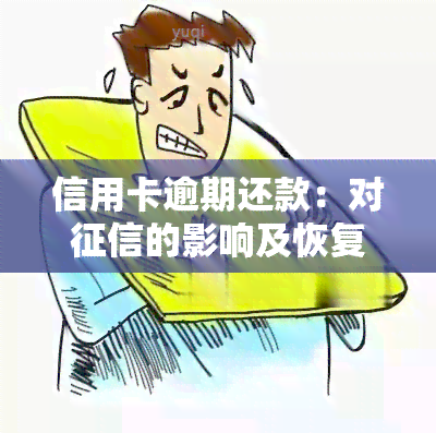 信用卡逾期还款：对的影响及恢复时间，违约金能否免除？