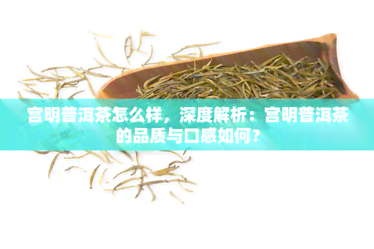 宫明普洱茶怎么样，深度解析：宫明普洱茶的品质与口感如何？