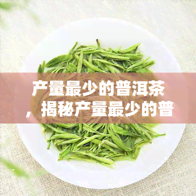 产量最少的普洱茶，揭秘产量最少的普洱茶：珍稀品种的魅力与价值