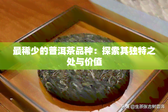 最稀少的普洱茶品种：探索其独特之处与价值