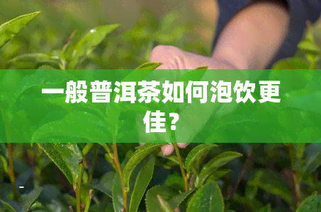 一般普洱茶如何泡饮更佳？